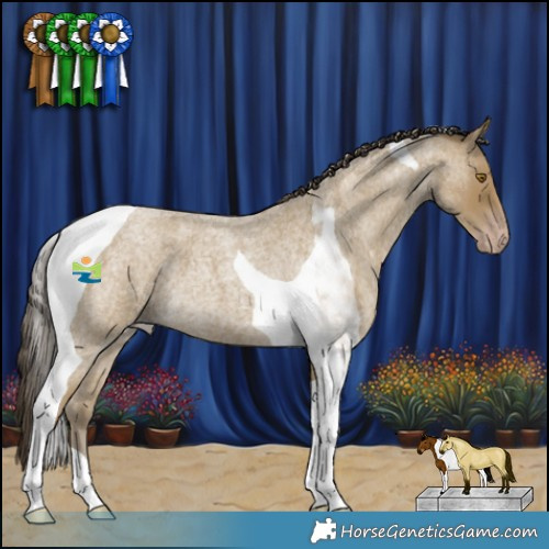 Horse Color:Classic Cream Champagne Roan Tobiano 