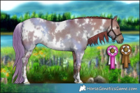 Horse Color:Watercolor White Spotted Liver Red Dun