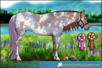 Horse Color:Watercolor White Spotted Liver Red Dun 