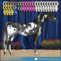 Horse Color:White Spotted Black Rabicano