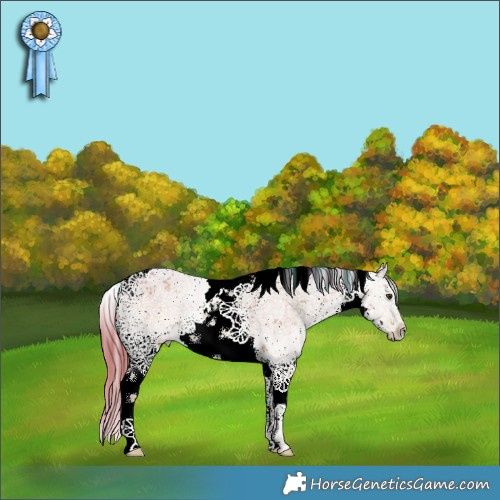 Horse Color:Watercolor White Spotted Liver Red Dun Ice Sabino Brindle 
