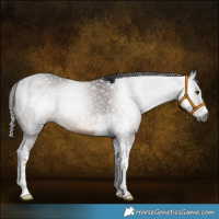 Horse Color:Gray Liver Chestnut Tobiano 