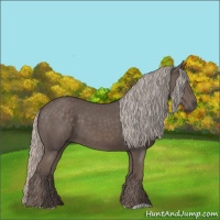 Horse Color:Silver Black 