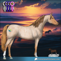 Horse Color:Red Roan Rabicano