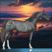 Horse Color:Black Varnish Rabicano 