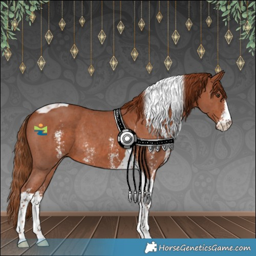 Horse Color:Chestnut Sabino Tobiano Rabicano 