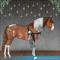 Horse Color:Chestnut Sabino Tobiano Rabicano 
