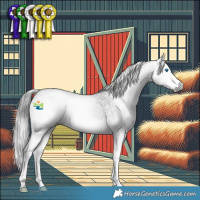 Horse Color:Gray Smoky Blue Roan Splash Rabicano 