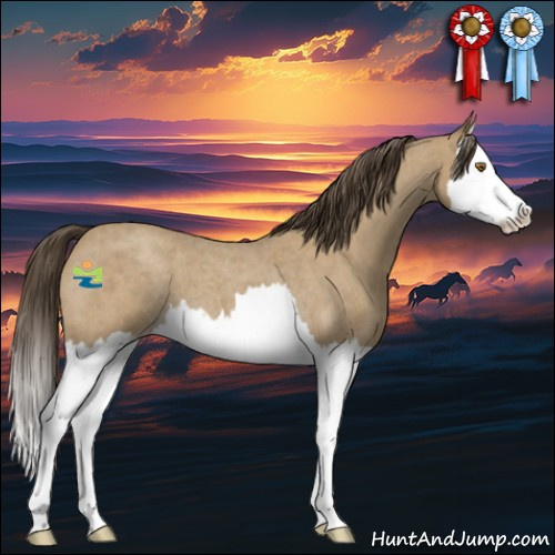 Horse Color:Classic Cream Champagne Roan Splash