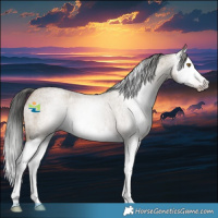 Horse Color:Gray Classic Cream Champagne Roan Splash Rabicano