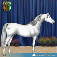 Horse Color:Gray Classic Cream Champagne Roan Splash Rabicano 