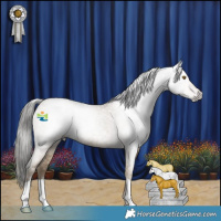Horse Color:Gray Classic Cream Champagne Roan Rabicano 
