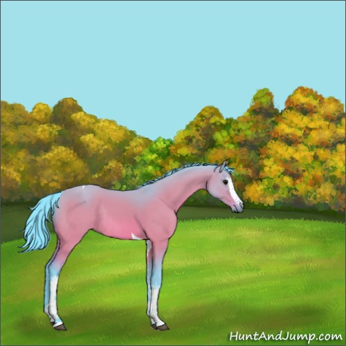 Horse Color:Watercolor White Spotted Bay Dun Tobiano Rabicano 