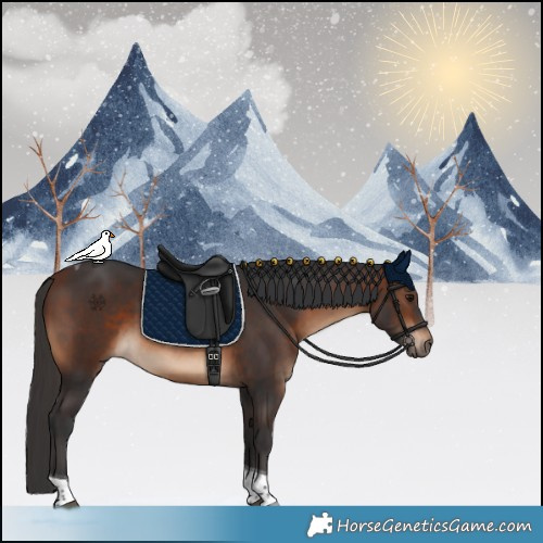 Horse Color:Bay Tobiano Rabicano 