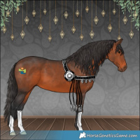 Horse Color:Brown 