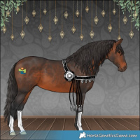 Horse Color:Brown 