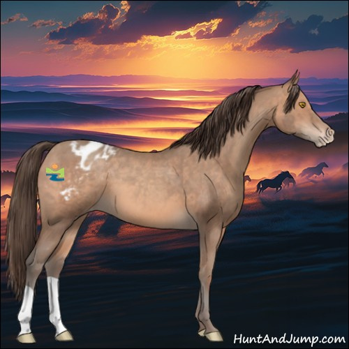 Horse Color:Sable Champagne Appaloosa 