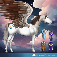 Horse Color:Bay Roan Dun Splash Near Fewspot Rabicano 