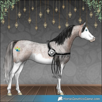Horse Color:Bay Roan Splash Rabicano 