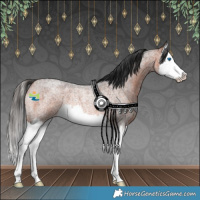 Horse Color:Bay Roan Splash Rabicano 