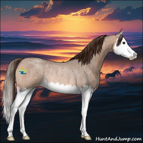 Horse Color:Bay Roan Dun Splash Appaloosa Rabicano
