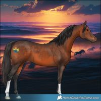 Horse Color:Brown 