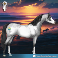 Horse Color:Blue Roan Frame