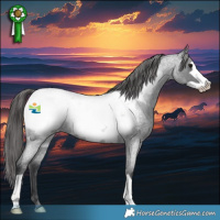 Horse Color:Blue Roan Frame Snowcap Rabicano 
