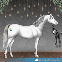 Horse Color:Liver Chestnut Mushroom Sabino 