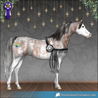 Horse Color:Brown Roan Mushroom Sabino Splash