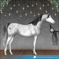 Horse Color:Blue Roan Mushroom Sabino Splash 