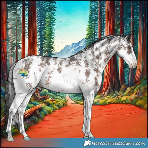 Horse Color:Liver Chestnut Sabino 