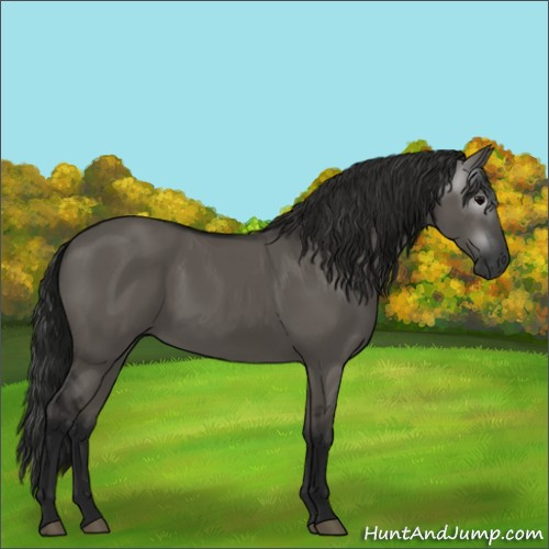 Horse Color:Gray Grullo 