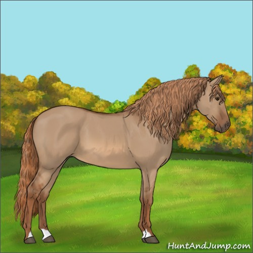 Horse Color:Red Dun 