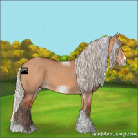 Horse Color:Silver Bay Dun Sabino Tobiano Frame Rabicano 