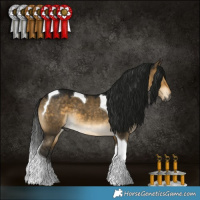 Horse Color:Gray Buckskin Dun Tobiano