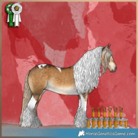 Horse Color:Gray Chocolate Palomino Dun Tobiano 