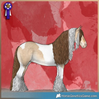 Horse Color:Gray Perlino Dun Tobiano 