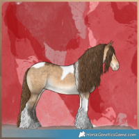 Horse Color:Gray Perlino Dun Tobiano 