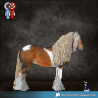 Horse Color:Chocolate Palomino Tobiano 