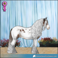 Horse Color:Liver Chestnut Tobiano Frame Appaloosa 