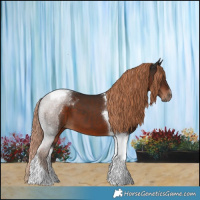Horse Color:Liver Chestnut Tobiano