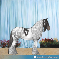 Horse Color:Smoky Black Tobiano Near Leopard 