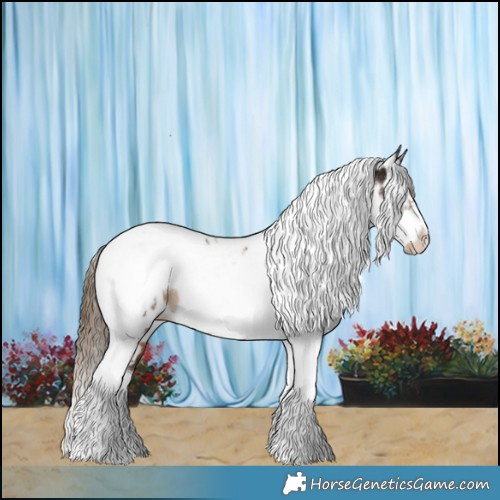 Horse Color:Liver Chestnut Tobiano Frame Appaloosa