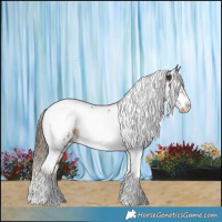 Horse Color:Liver Chestnut Tobiano Frame Near Leopard 