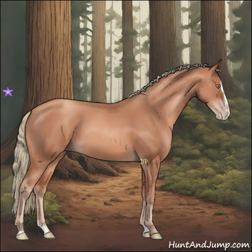 Horse Color:Gold Champagne Splash 