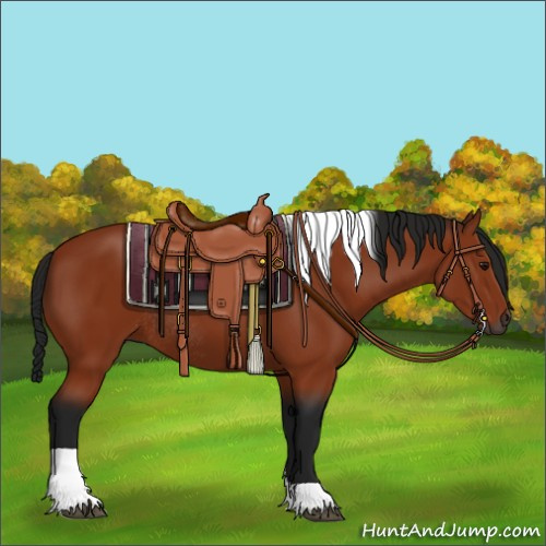 Horse Color:Gray Bay Tobiano Rabicano 