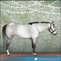 Horse Color:Gray Buckskin Roan Tobiano 