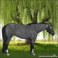 Horse Color:Gray Blue Roan Tobiano 