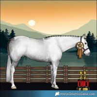 Horse Color:Gray Black Tobiano 